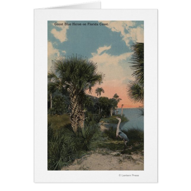 Cartão Excelente Blue Heron na praia costeira da Flórida (Frente)