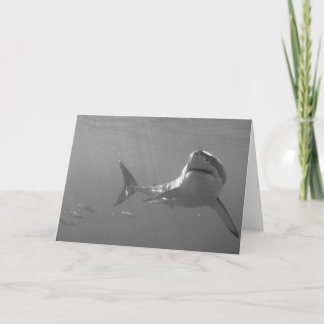 Cartão Excelente branco