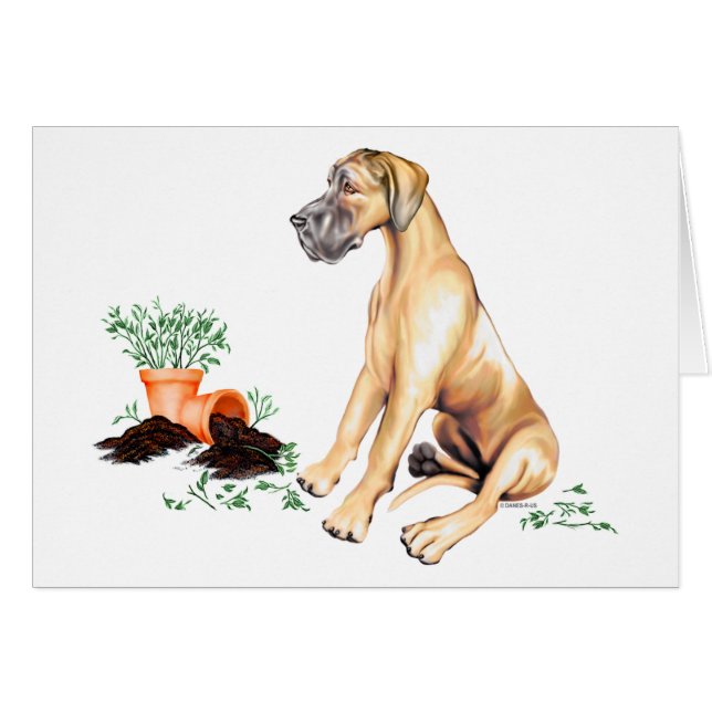 Cartão Excelente Dane Naughn Fawn UC (Frente Horizontal)