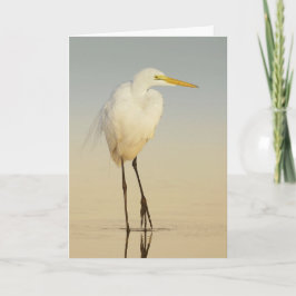Cartão Excelente Egret Walking Card