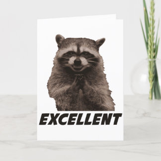 Cartão Excelente Mau Plotting Raccoon