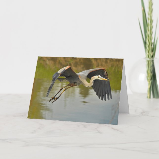 Cartão Excelente Voador Blue Heron Greeting Card (Frente)