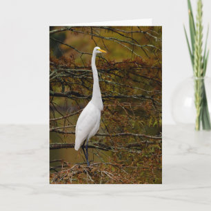 Cartão Excelente White Egret Fall Deixa a placa de saudaç