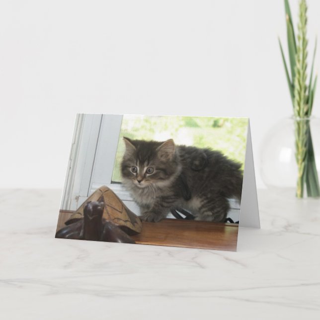 Cartão Exciting Birthday Wishes (Frente)