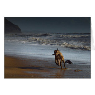 Cartão Executando o Lurcher Greyhound na praia