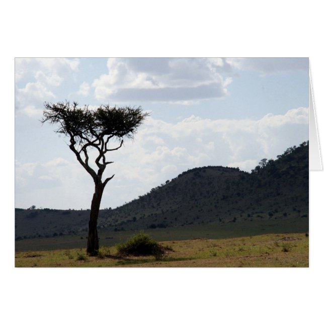 Cartão exibição de árvore (Frente Horizontal)