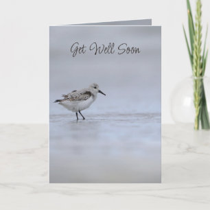 Cartão Êxodo 15:26 Eu sou o Senhor que Cura Versículo da 