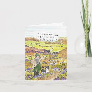 Cartão Explorador de ovinos Yorkshire