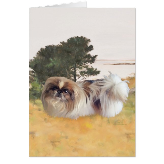 Cartão Explorando a margem (Frente)