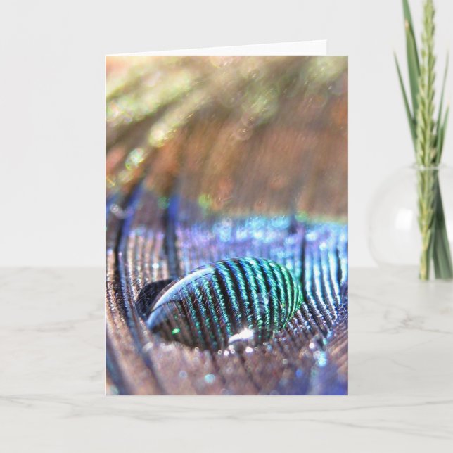 Cartão Exposed Card (Frente)