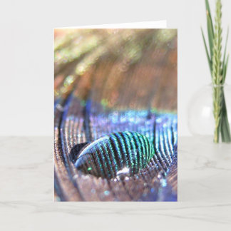 Cartão Exposed Card