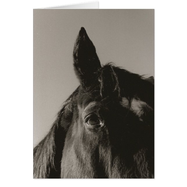 Cartão Expressão (Frente)