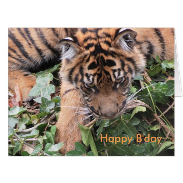 Cartão Expressões Natures (Frente horizontal)