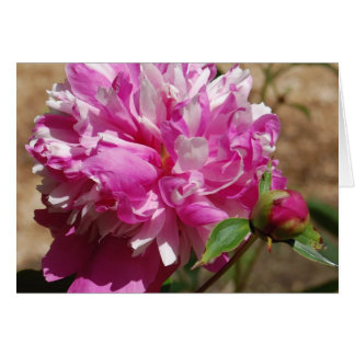 Cartão Extravagância