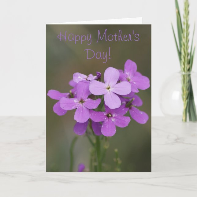 Cartão F19 Flores Roxas Dames Rocket (Frente)