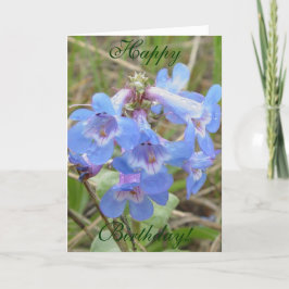 Cartão F3 Flores Selvagens Azuis Amarelo esmagador