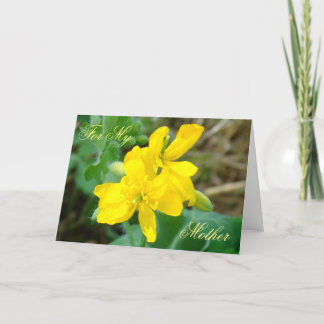 Cartão F44 Flores silvestres amarelas Mostarda selvagem