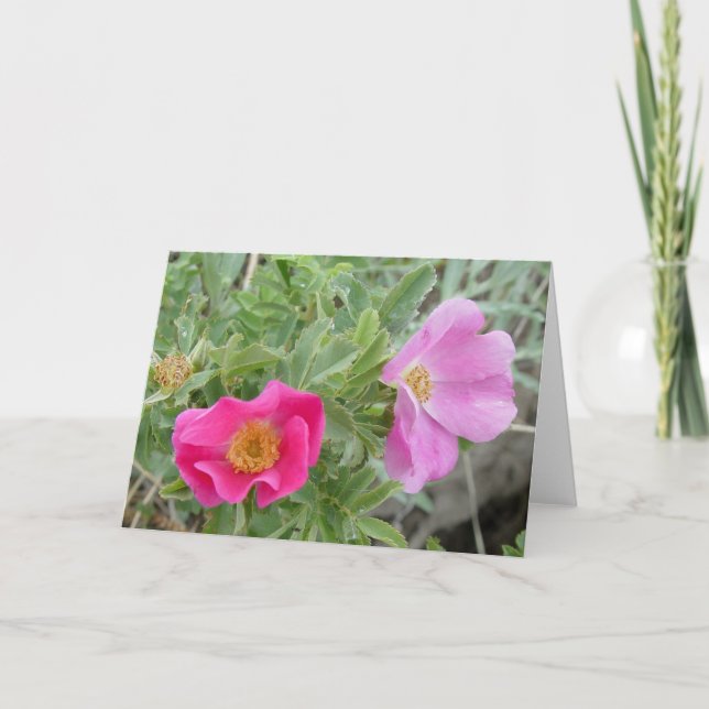 Cartão F4 Rosas selvagens (Frente)