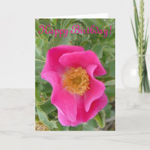 Cartão F4a Rosa Silvestre