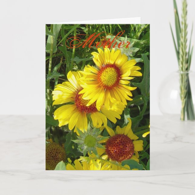 Cartão F6 Yellow Wildflowers Gaillardia (Frente)