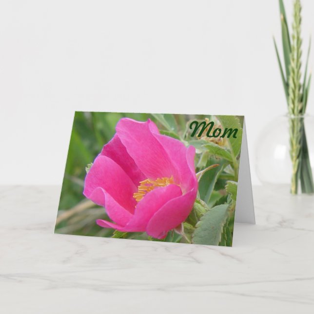 Cartão F7 Rosa Silvestre (Frente)