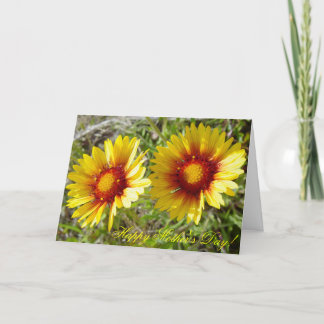 Cartão F8 Amarelas Flores Silvestres Gaillardia