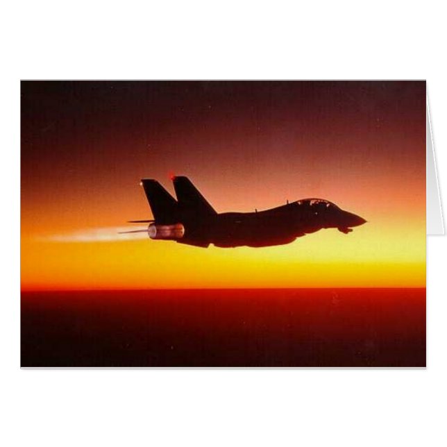 CARTÃO F-14 TOMCAT EM SEGUIDA (Frente Horizontal)