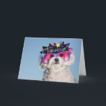 Cartão Fabulous Birthday<br><div class="desc">Princess Pebbles wants you to be fabulous,  and celebrate your friend's birthday in style!</div>