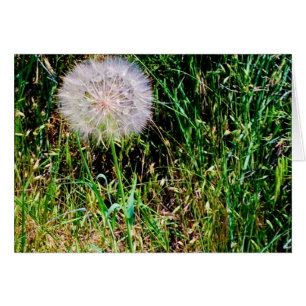 Cartão "Faça coleção de um desejo"