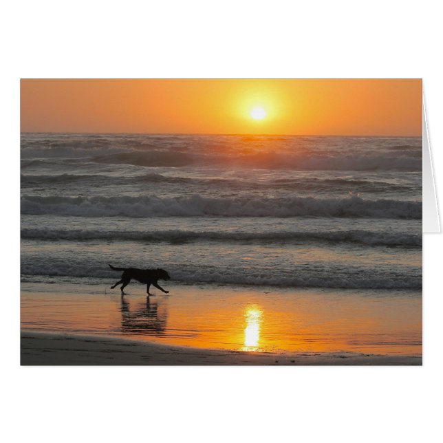 Cartão Faça o a maioria de seu dia (Frente Horizontal)