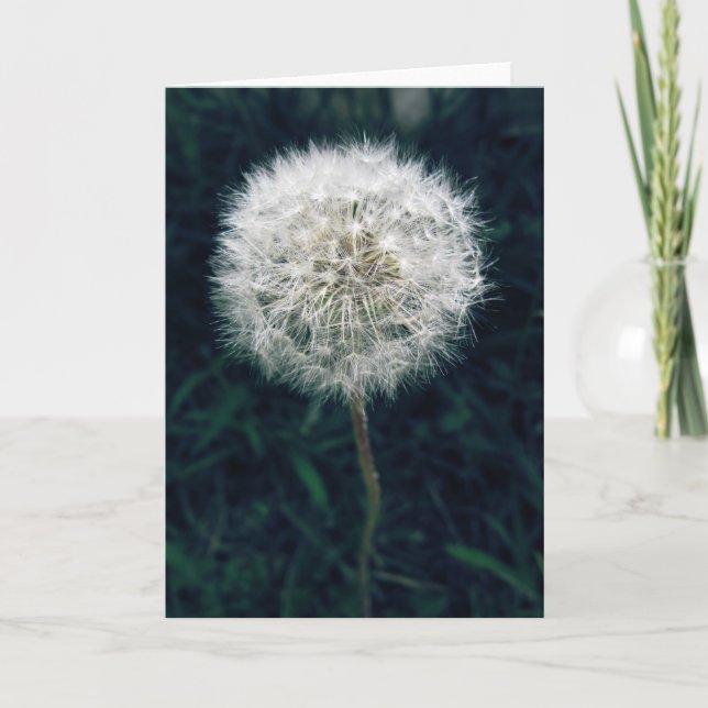 Cartão Faça um desejo (Frente)