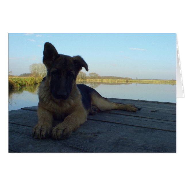 Cartão Faça uma pausa (Frente Horizontal)