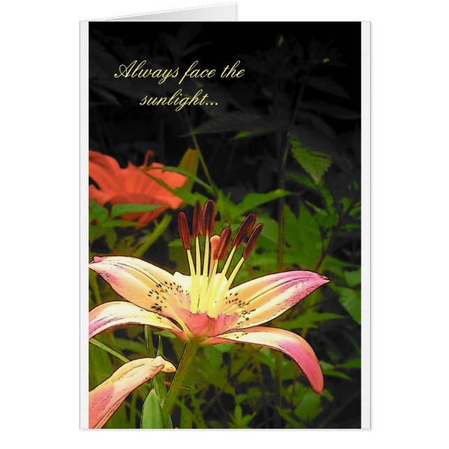 Cartão Face À Luz Do Sol (Frente)