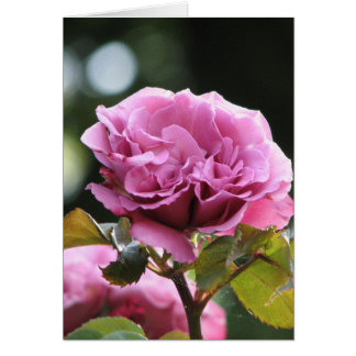 Cartão Face de Anjo Subindo 196