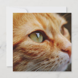 Cartão Face determinada de um gengibre