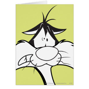 Cartão Face SYLVESTER™