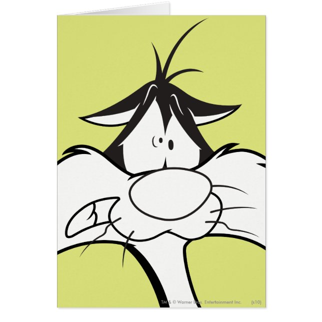 Cartão Face SYLVESTER™ (Frente)