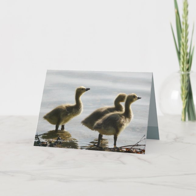 Cartão Facing the Light (Frente)