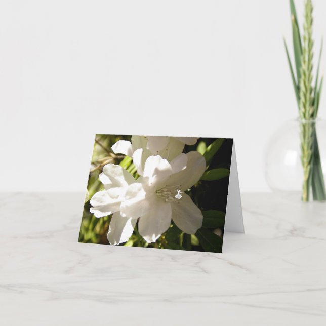 Cartão Fada-Sombra da Azalia Branca (Frente)