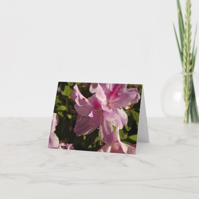 Cartão Fada-Sombra Rosa Azalia (Frente)