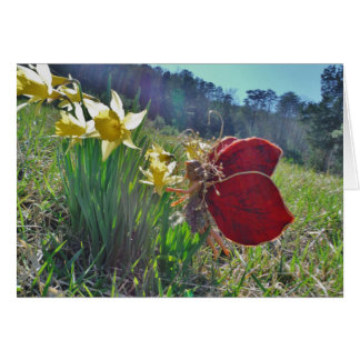 Cartão fadas de asa vermelha e narcisos
