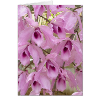 Cartão Fadas Fragrantes