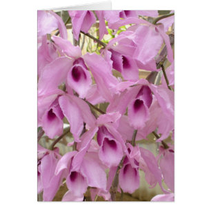 Cartão Fadas perfumadas