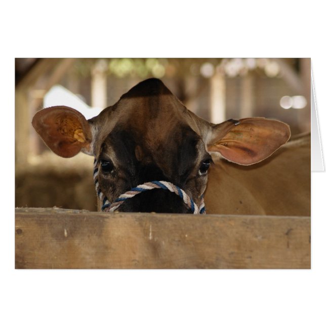 Cartão Fair Card do condado (Frente horizontal)