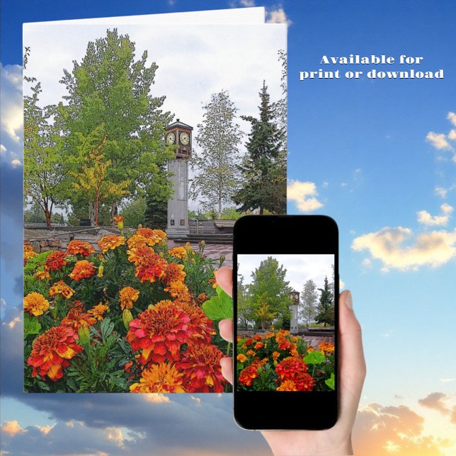 Cartão Fairbanks, Cobrir Cênico Floral Colorido, AK (Greeting Card print & download covers)