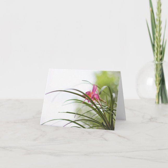 Cartão Fairy Lily Magic Note Cards (Frente)