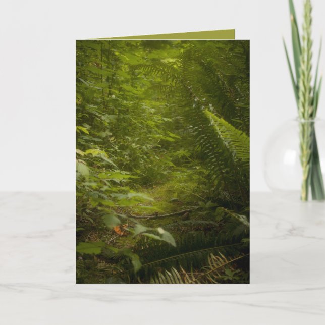 Cartão Fairy Pathways Fantasy Photograph Greeting Card (Frente)