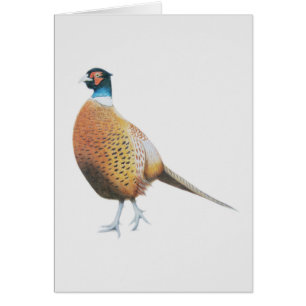 Cartão Faisão 2012