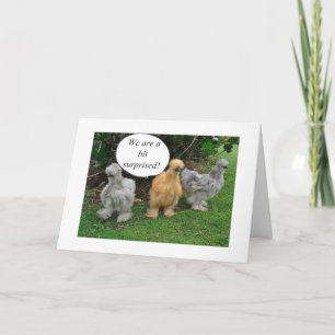 CARTÃO FALANDO EM GALINHAS "FELICITA RETIREE" COM HUMOR