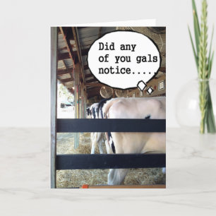 CARTÃO FALANDO VACAS SE JUNTARAM PARA DIZER FELIZ ANIVERS